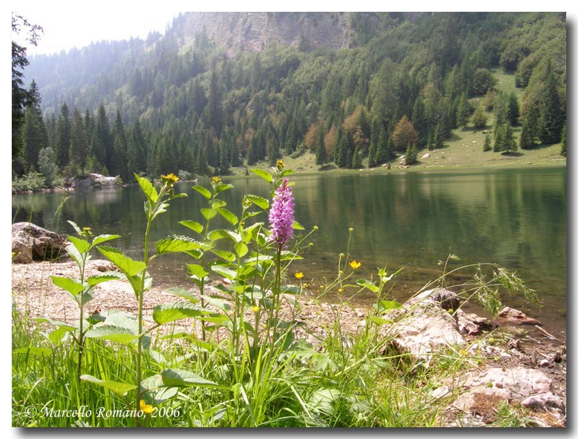 Laghi.......del TRENTINO